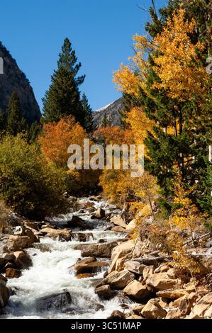 CHALK CREEK CANYON, ST. ELMO, COLORADO: Die Straße durch den Chalk Creek Canyon schlängelt sich durch Aspenbäume, die Herbstfarben zeigen. Stockfoto