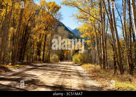 CHALK CREEK CANYON, ST. ELMO, COLORADO: Die Straße durch den Chalk Creek Canyon schlängelt sich durch Aspenbäume, die Herbstfarben zeigen. Stockfoto