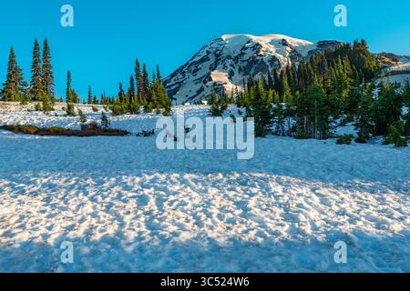 Die unberührte Wildnis des Mount Rainier National Park, Washington, mit einem atemberaubenden, schneebedeckten Berg, der die Landschaft dominiert. Stockfoto
