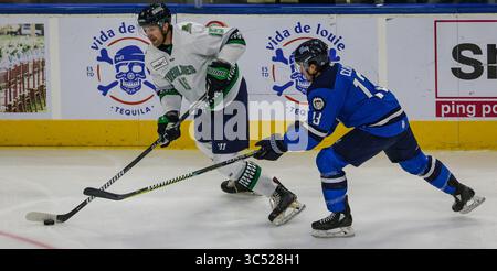Florida Everblades Forward Cam Maclise (15) verteidigt den Puck, den Jacksonville Icemen Linksflügel Emerson Clark (13) während der ersten Phase eines ECHL-Profihockeyspiels in der Veterans Memorial Arena in Jacksonville, Florida, Mittwoch, 11. Dezember 2019. [Gary Lloyd McCullough/CSM](Guthaben: &Copy; Gary Lloyd McCullough/CSM via ZUMA Wire) Stockfoto