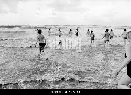 Neujahrstauchen Zandvoort, Neujahr, Zandvoort, 01-01-1980 Whizgle News, Dutch Desk, Niederlande, 1950-2000 Eine Gruppe von Menschen waten in den Ozean und genießen das kühle Wasser und die verspielten Wellen. Unter ihnen plätschert ein Hund fröhlich herum und trägt zur lebhaften Atmosphäre eines Strandtages bei. Stockfoto