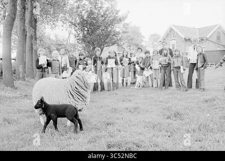 Klasse von Kindern erhalten eine Führung durch die Farm, 00-00-1977 Whizgle News, Dutch Desk, Niederlande, 1950-2000 Eine Gruppe von Kindern steht auf einem grasbewachsenen Gebiet und hält Blätter in der Hand, während ein großes Schaf und sein Lamm in der Nähe spazieren gehen. Hinter ihnen bilden Bäume und ein Haus eine rustikale Kulisse. Die Kinder scheinen verlobt zu sein, einige schauen sich die Schafe an, andere konzentrieren sich auf ihre Papiere. Stockfoto