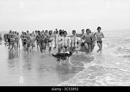 Neujahrstauchgang D.W.R. in Zandvoort, Neujahr, 01-01-1975 Whizgle News, Dutch Desk, Niederlande, 1950-2000 Eine lebhafte Gruppe von Schwimmern stürzt entlang einer Küste ins Wasser, begleitet von einem Hund, der spielerisch vorne läuft. Die Szene fängt einen energiegeladenen Moment voller Lachen und Aufregung ein, während die Wellen zu ihren Füßen laufen. Stockfoto