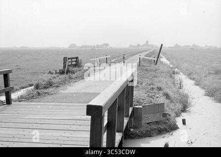 Neuer Fußweg und Radweg durch Spaarnwoude, Spaarnwoude, 18-07-1978 Whizgle News, Dutch Desk, Niederlande, 1950-2000 Eine hölzerne Fußgängerbrücke führt über ein grasbewachsenes Gebiet, flankiert von einem schmalen Weg, der sich bis in die Ferne erstreckt. Umzäunte Felder und ein entfernter Horizont runden die ruhige, offene Landschaft ab. Stockfoto