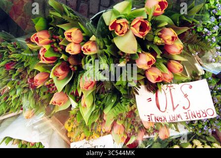 Maxima-Artikel, 01-04-2001 Whizgle News, Dutch Desk, Niederlande, 1950-2000 Eine lebendige Ausstellung frischer Blumen mit üppigen grünen Blättern und blühenden Tulpen in Pfirsichtönen und Orange, begleitet von Papierschildern mit Preisangaben. Stockfoto