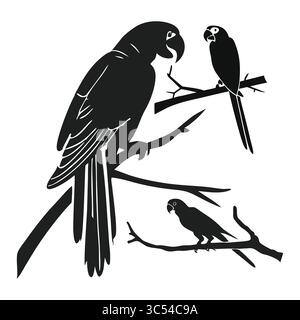 Silhouette von Amazonas-Papageien auf Ästen in der Natur Illustration Stock Vektor