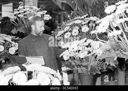 Blumenausstellung Aalsmeer, Aalsmeer, 02-11-1993 Whizgle News, Dutch Desk, Niederlande, 1950-2000 Ein Mann in einem stylischen Blazer untersucht eine große Anordnung von Gänseblümchen und hält ein Klemmbrett. Üppiges Grün umgibt ihn, während er sorgfältig die lebendigen Blumen inspiziert. Stockfoto