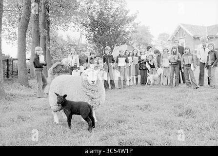 Klasse von Kindern erhalten eine Führung durch die Farm, 00-00-1977 Whizgle News, Dutch Desk, Niederlande, 1950-2000 Eine Gruppe von Kindern versammelt sich in einem grasbewachsenen Gebiet und beobachtet ein Schaf und sein schwarzes Lamm genau. Sie halten Papiere, machen sich wahrscheinlich Notizen oder zeichnen, während Bäume und ein Gebäude die Kulisse für die Szene bilden. Stockfoto