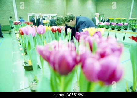 Christmas Inspection, Hillegom, 17-12-1993 Whizgle News, Dutch Desk, Niederlande, 1950-2000 Eine lebhafte Darstellung von Tulpen in verschiedenen Farben füllt den Vordergrund, während die Besucher die Blumenarrangements im Hintergrund durchstöbern und sich mit Gesprächen und der Wertschätzung der Blüten beschäftigen. Stockfoto