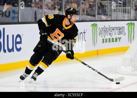 29. Dezember 2019: Matt Grzelcyk, Verteidiger der Boston Bruins (48) im NHL-Spiel zwischen den Buffalo Sabres und den Boston Bruins im TD Garden in Boston, Mass. Eric Canha/CSM(Kreditbild: &Copy; Eric Canha/CSM via ZUMA Wire) Stockfoto