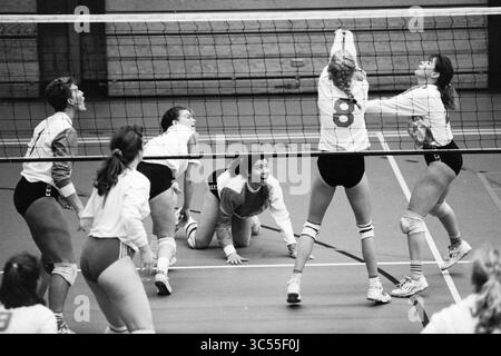 Volley-Ball; OVRA - VIF, 29-10-1993 Whizgle News, Dutch Desk, Niederlande, 1950-2000 Ein dynamisches Volleyballspiel mit intensiver Konzentration und Teamarbeit wird im Gange sein. Die Spieler sind auf dem Spielfeld verstreut, wobei ein Athlet springt, um einen hochfliegenden Ball zu blockieren, während andere in Erwartung des Spiels tauchen und Strategien entwickeln. Die Energie ist spürbar, wenn jedes Teammitglied sein Engagement für den Sport zeigt. Stockfoto