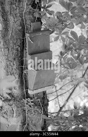 Bat Box Noordwijkerhout, Noordwijkerhout, 07-08-1991 Whizgle News, Dutch Desk, Niederlande, 1950-2000 Ein hölzernes Vogelhaus hängt an einem Baum, eingebettet zwischen üppig grünen Blättern, das seinen rustikalen Charme und seine einladende Natur zeigt. Stockfoto
