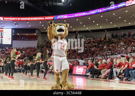 Januar 2020, Houston, Texas, USA: Houston Cougars Maskottchen SHASTA tanzt in der Pause beim Spiel zwischen den Houston Cougars gegen UCF Knights, Fertitta Center, Houston Texas (Foto: © Lynn Pennington/ZUMA Wire) Stockfoto