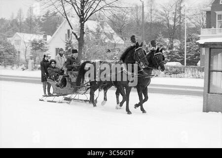 Pferdeschlitten mit 2 Pferden Whizgle News, Dutch Desk, Niederlande, 1950-2000 Ein Pferdeschlitten gleitet durch eine verschneite Landschaft mit zwei Pferden, die stetig traben. Im Schlitten sitzt ein Mann neben einem Kind, beide gebündelt in warmer Kleidung, während ein Mensch neben ihnen spaziert und die Winterlandschaft genießt. In der Nähe sind die Häuser mit Schnee bedeckt, was die bezaubernde Winterszene abrundet. Stockfoto