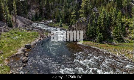 Der Firehole River fließt durch einen dichten Nadelwald im Yellowstone National Park Stockfoto