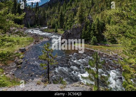 Der Firehole River fließt durch einen dichten Nadelwald im Yellowstone National Park Stockfoto
