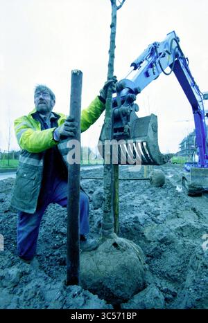 Pflanzen von Bäumen, Operaweg, Nieuw-Vennep, Nieuw-Vennep, Operaweg, 23-11-2003 Whizgle News, Dutch Desk, Niederlande, 1950-2000 Ein Arbeiter in einer hellen Jacke verwendet einen Pfosten, um einen jungen Baum zu stabilisieren, während er gepflanzt wird, während ein schwerer Bagger dabei hilft. Die Szene zeigt die Anstrengungen, die mit der Landschaftsgestaltung verbunden sind, mit frisch gegrabener Erde, die sie umgibt. Stockfoto