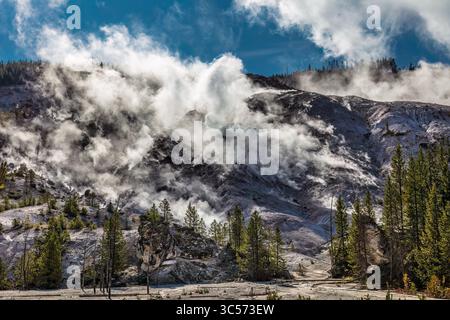 Steam Clouds erheben sich vom Roaring Mountain im Yellowstone-Nationalpark Stockfoto