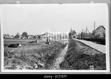Nw Situation More of the Past Abbenes, Haarlemmermeer, Abbenes, 2-07-1987 Whizgle News, Dutch Desk, Niederlande, 1950-2000 Eine friedliche ländliche Szene mit Kühen, die in einem grasbewachsenen Gebiet neben einem kleinen Kanal ruhen. Im Hintergrund ist ein malerisches Dorf mit Häusern und einem Kirchturm dargestellt, der deutlich über der Landschaft ragt, während parallel zum Kanal eine Feldstraße verläuft. Stockfoto