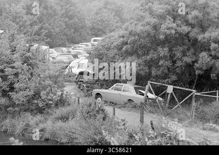 Autoschrottplatz Garenkokerskade, Abbruch, Abbruch, Schrottplätze, Haarlem, Garenkokerskade, Nederland, 09-06-1977 Whizgle News, Dutch Desk, Niederlande, 1950-2000 verlassene Fahrzeuge überladen ein abgeschiedenes Grundstück, umgeben von dichtem Laub und einem rostigen Zaun, mit einem gewundenen Pfad, der durch das bewachsene Gebiet führt. Stockfoto