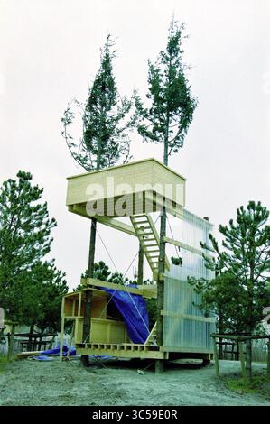 Floriade - Terra Futura, Haarlemmermeer, 06-02-2002 Whizgle News, Dutch Desk, Niederlande, 1950-2000 Ein einzigartiges Baumhaus-Design, das zwischen hohen Bäumen liegt, mit einer Holzkonstruktion mit einer großen Plattform auf der Oberseite, einer Treppe nach oben und blauen Planen, die Teile der Basis bedecken. Die Umgebung ist von natürlichem Grün umgeben, was einen ruhigen, erhöhten Rückzugsort in der Landschaft schafft. Stockfoto
