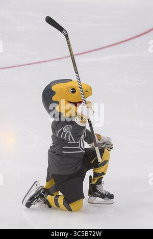 25. Januar 2020: Mascot Chance of the Vegas Golden Knights feiert ein Tor während des Mascot Hockeyspiels während des National Hockey League All-Star Weekend im Enterprise Center in St. Louis City, MO Richard Ulreich/CSM (Credit Image: &Copy; Richard Ulreich/CSM via ZUMA Wire) Stockfoto