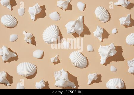 Sommer Hintergrund mit weißen Muscheln in verschiedenen Formen, ordentlich auf einem beigen Hintergrund angeordnet. Stockfoto