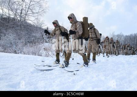 24. Januar 2020 - Hokudaien Training Area, Hokkaido, Japan - U.S. Marines von Golf Company, 2. Bataillon, 3. Marine Regiment, 3. Marine Division, Durchführung bilateraler Ski Patrouillentraining mit Soldaten der 5. Brigade, Japan Ground Self-Defense Force (JGSDF), während Übung Northern Viper auf Hokudaien Training Area, Hokkaido, Japan, 24. Januar 2020. Northern Viper ist eine regelmäßig geplante Trainingsübung, die die kollektiven Verteidigungsfähigkeiten der US-amerikanischen und japanischen Allianz verbessern soll, indem Mitglieder beider Streitkräfte intensivem Training in einer strengen Umgebung ausgesetzt werden Stockfoto