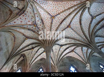 Gewölbe im Sommerrefektorium Anfang des 14. Jahrhunderts, im 19. Jahrhundert umgebaut, Kloster Bebenhausen, Stadtteil Bebenhausen in Tübingen, Baden-Wi¿½ Stockfoto