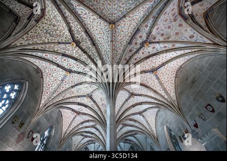 Gewölbe im Sommerrefektorium Anfang des 14. Jahrhunderts, im 19. Jahrhundert umgebaut, Kloster Bebenhausen, Stadtteil Bebenhausen in Tübingen, Baden-Wi¿½ Stockfoto