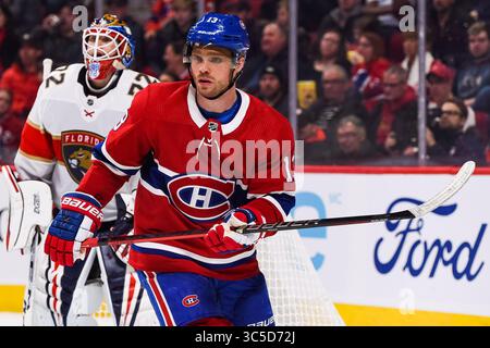 1. Februar 2020: Das Montreal Canadiens Center Max Domi (13) verfolgt das Spiel während des Spiels der Florida Panthers bei Montreal Canadiens im Bell Centre in Montreal, Quebec. David Kirouac/CSM(Credit Image: &Copy; David Kirouac/CSM via ZUMA Wire) Stockfoto