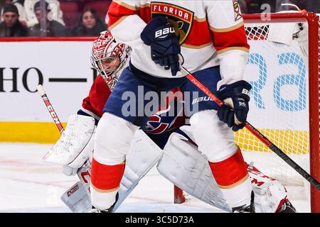 1. Februar 2020: Montreal Canadiens Torwart Carey Price (31) verfolgt das Spiel während des Spiels der Florida Panthers bei Montreal Canadiens im Bell Centre in Montreal, Quebec. David Kirouac/CSM(Credit Image: &Copy; David Kirouac/CSM via ZUMA Wire) Stockfoto