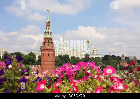 Blick auf den Großen Kreml-Palast durch Petunie-Blumen, Moskau im Sommer Stockfoto