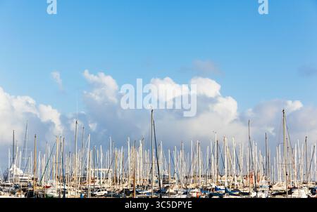 Viele Segelyachten mit abgesenkten Segeln liegen am Pier im Hafen. Stockfoto