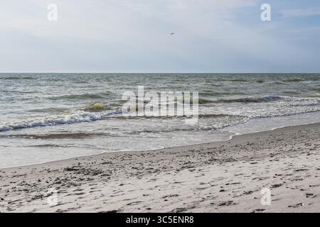 Windige Ostseeküste mit rollenden Wellen, Schaum und leerem Sandstrand Stockfoto