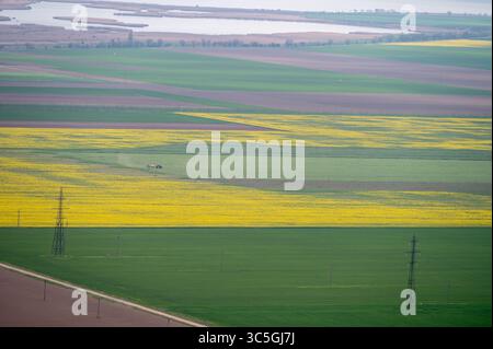 Luftaufnahme von Flickenteppichfeldern im Frühjahr mit gelbem Rapssamen in Blüte Stockfoto