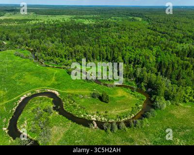 Ein Blick aus der Luft zeigt einen sich windenden Fluss, der durch weitläufige grüne Wiesen und dichten Wald unter hellem Himmel fließt Stockfoto