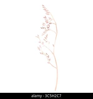 Trockener Zweig der Wildblume. Handgezeichnete Aquarellillustration eines Herbariums auf isoliertem Hintergrund. Zeichnung von toten Pflanzen, geeignet für die Dekoration von Stoffen Stockfoto