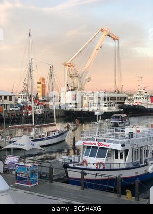 Golden Hour an Kapstadts berühmter Victoria & Alfred Waterfront, während eine Flotte weißer Boote ruhig am Hafen ruht. Stockfoto