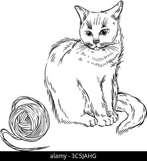 Eine flauschige Katze und ein mit Tinte handgezogener Faden. Vektorabbildung. Die Abbildung eignet sich zum Bedrucken von Produkten für Tiere, für Stock Vektor