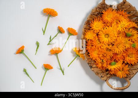 Lebhafte orangene Ringelblumen mit grünen Stielen in einem gewebten Korb, verstreut auf einem weißen Tisch. Perfekt für Kräuter-Wellness, Hautpflege und Stockfoto