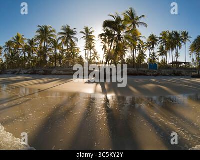 Ilheus Bahia Brasilien. Palmen, die Schatten am Sandstrand werfen. Stockfoto