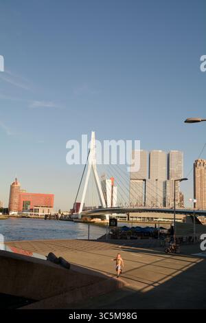 Die Erasmusbrug-Brücke überquert den Nieuwe Maas mit Kop Van Zuid im Hintergrund in Rotterdam, Niederlande Stockfoto