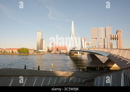 Die Erasmusbrug-Brücke überquert den Nieuwe Maas mit Kop Van Zuid im Hintergrund in Rotterdam, Niederlande Stockfoto