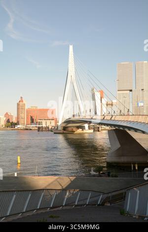 Die Erasmusbrug-Brücke überquert den Nieuwe Maas mit Kop Van Zuid im Hintergrund in Rotterdam, Niederlande Stockfoto