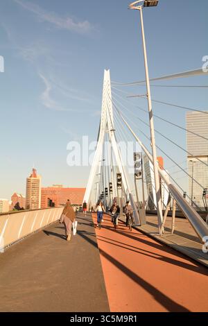 Wanderer und Radfahrer nutzen die Erasmusbrug-Brücke über die Nieuwe Maas mit Kop Van Zuid im Hintergrund in Rotterdam, Niederlande Stockfoto