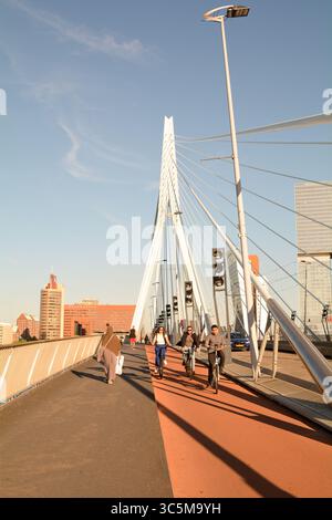 Wanderer und Radfahrer nutzen die Erasmusbrug-Brücke über die Nieuwe Maas mit Kop Van Zuid im Hintergrund in Rotterdam, Niederlande Stockfoto