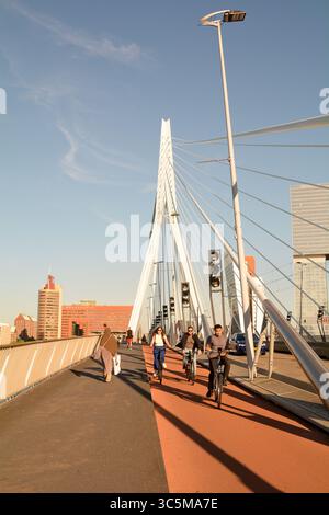 Wanderer und Radfahrer nutzen die Erasmusbrug-Brücke über die Nieuwe Maas mit Kop Van Zuid im Hintergrund in Rotterdam, Niederlande Stockfoto