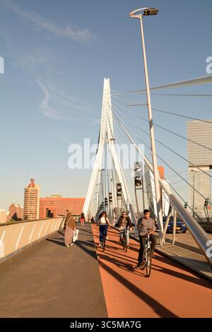Wanderer und Radfahrer nutzen die Erasmusbrug-Brücke über die Nieuwe Maas mit Kop Van Zuid im Hintergrund in Rotterdam, Niederlande Stockfoto