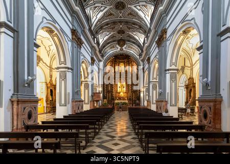 Innenraum der Kirche San Juan Bautista in der Altstadt von Malaga in Spanien. Stockfoto